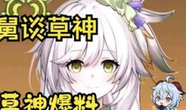 草神爆料最新真的吗,最新消息揭秘，真相究竟如何？