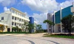 厦门兴才学院爆料事件最新,真相与争议交织的校园风云