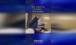 最新羊毛爆料视频播放大全,揭秘热门项目收益与风险