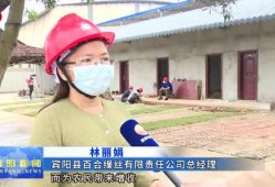 宾阳县媒体爆料案件最新,最新案件进展引发社会关注