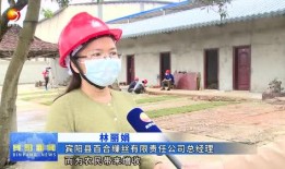 宾阳县媒体爆料案件最新,最新案件进展引发社会关注