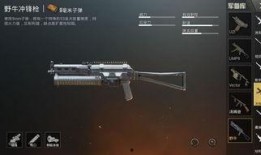 新红装爆料最新升级枪是什么,全新升级枪械震撼登场！